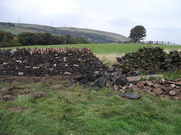 Rebuild field wall, Delph