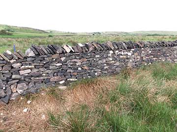 Field wall, Delph