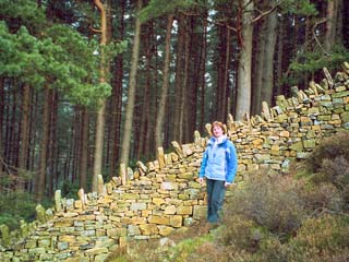 Steep wall, Howden Steep wall, Howden