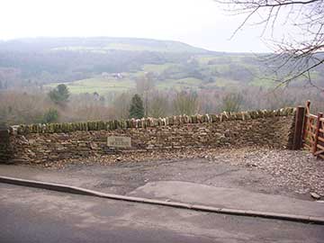 The Hollins
